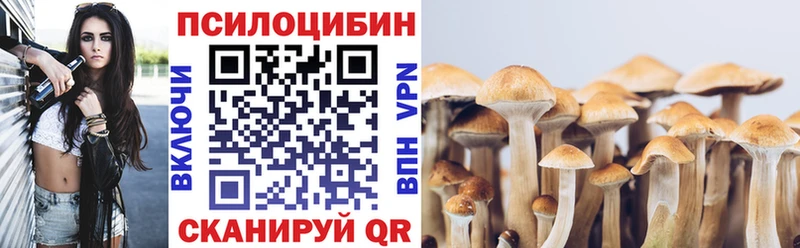 MEGA маркетплейс  купить наркоту  Сыктывкар  Псилоцибиновые грибы GOLDEN TEACHER 